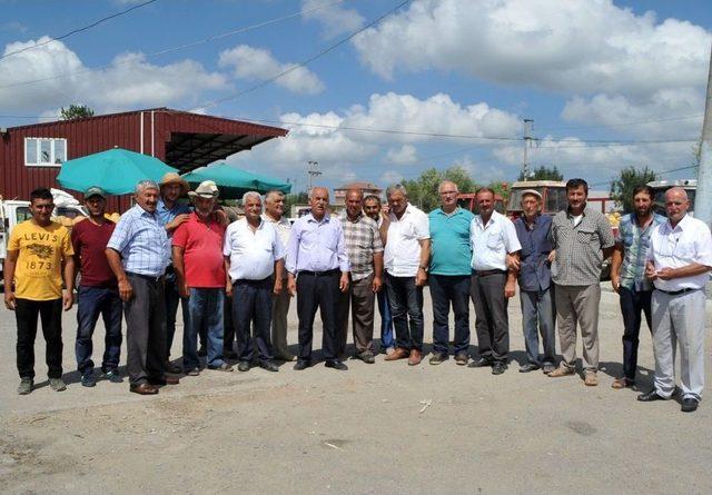 Bafra Ovası’nda Üreticiyi Nakliye Vurdu