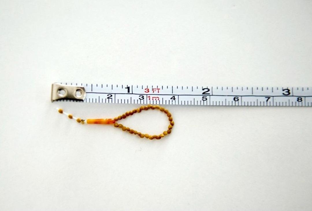 (&ouml;zel Haber) İncir &Ccedil;ekirdeğini Doldurdu