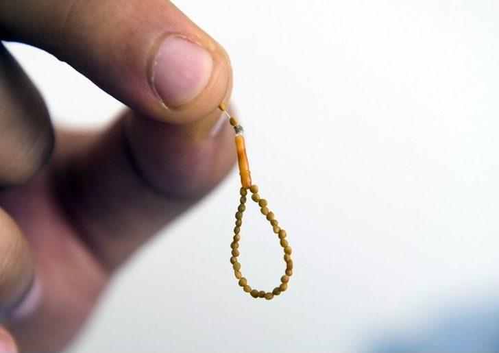 (özel Haber) İncir Çekirdeğini Doldurdu G1