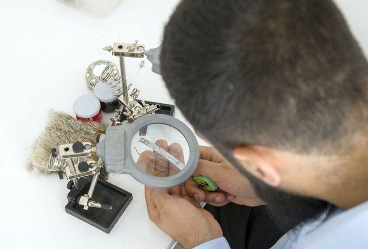 (özel Haber) İncir Çekirdeğini Doldurdu G2