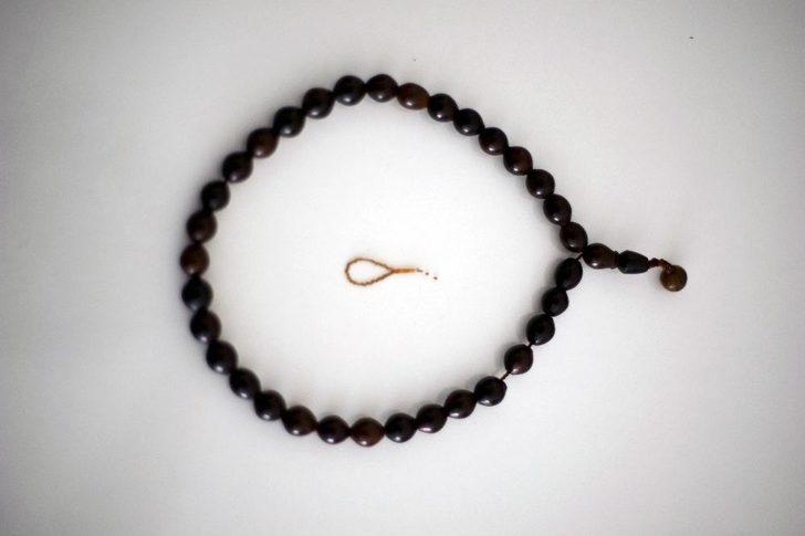 (özel Haber) İncir Çekirdeğini Doldurdu G5