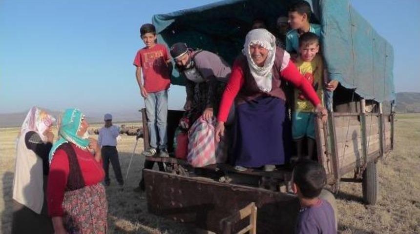 S&uuml;t Sağmaya Gidenlere 'dolmuş Trakt&ouml;r'