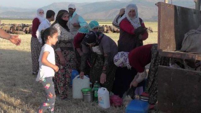 Süt Sağmaya Gidenlere 'dolmuş Traktör'