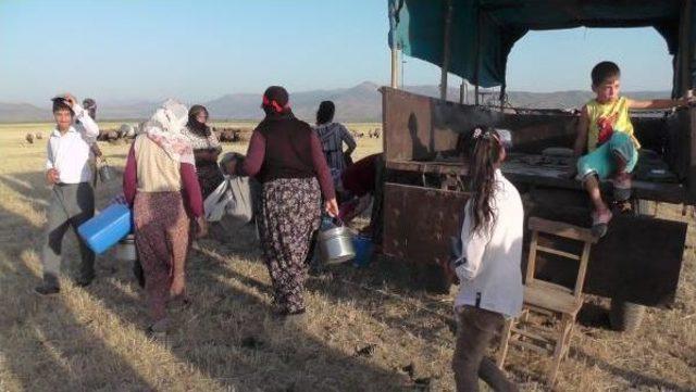 Süt Sağmaya Gidenlere 'dolmuş Traktör'