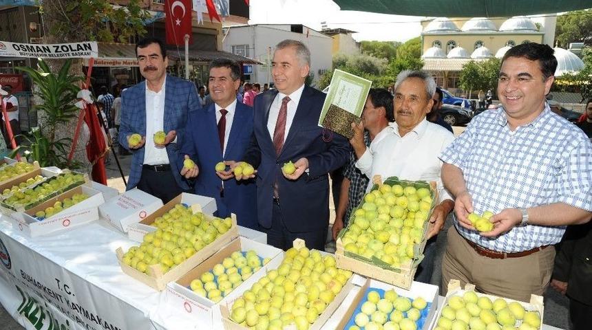 Buharkent &rsquo;incir&rsquo; Festivaline Hazır