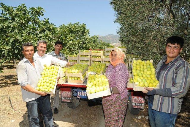 Buharkent ’incir’ Festivaline Hazır