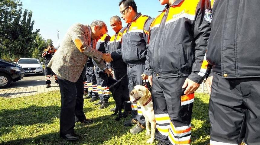 Kahraman K&ouml;pek Şans Hayatını Kaybetti