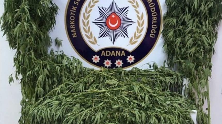 Helikopterle Tespit Edilen Kenevirleri Polisler Yok Etti