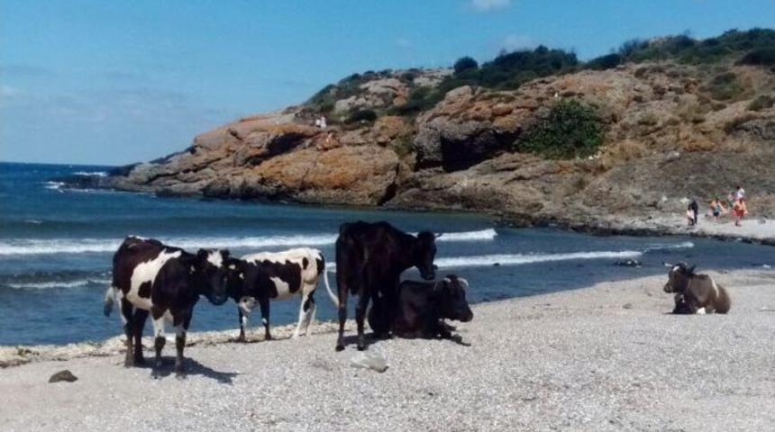 (&ouml;zel Haber) Dolu Ve Fırtına Felaketinin Ardından İstanbul&rsquo;da Renkli G&ouml;r&uuml;nt&uuml;ler