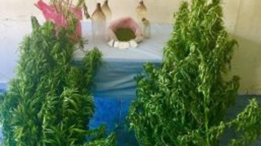 Uludere&rsquo;de Uyuşturucu Operasyonu