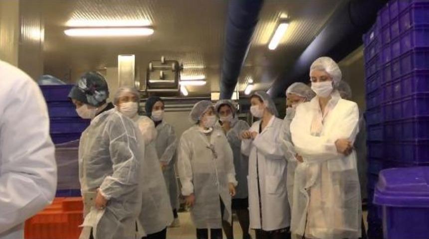 Anne Meclisi Derneği'nden Bereket D&ouml;ner &Uuml;retim Tesislerine Ziyaret