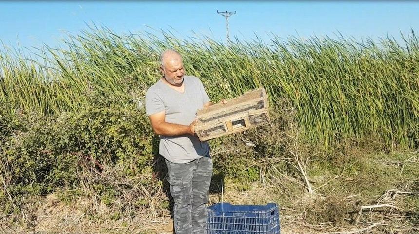 Yasa Dışı Yakalanan 93 Saka Kuşu Doğaya Bırakıldı