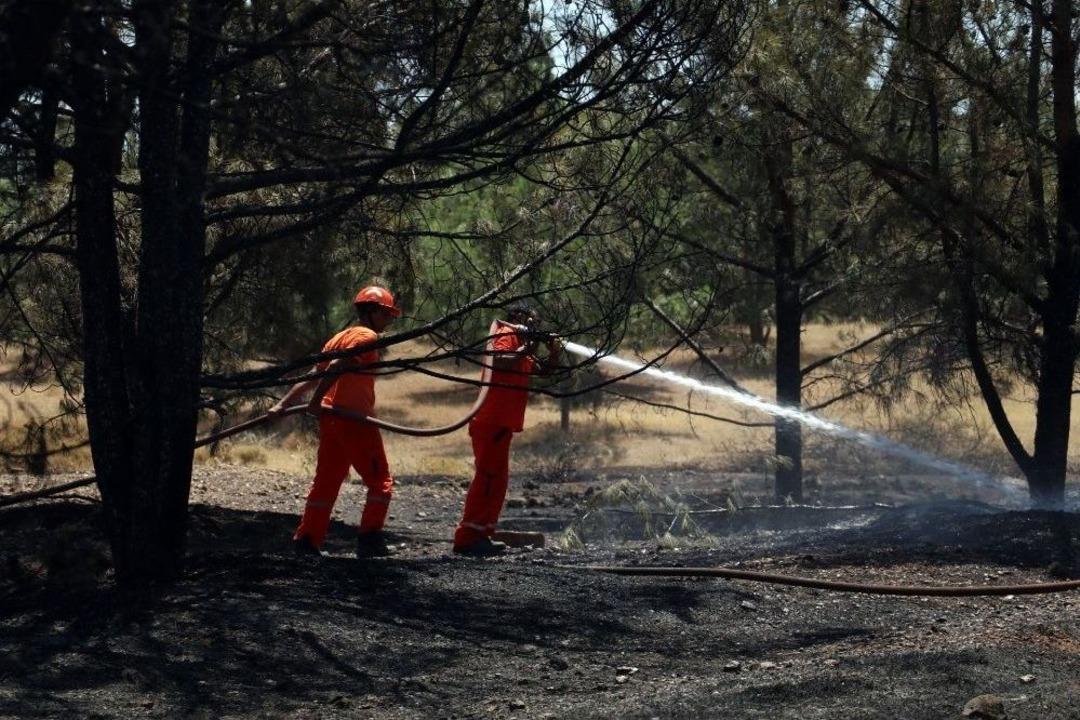 Antalya&rsquo;da Termessos Milli Parkı Yakınlarında Orman Yangını