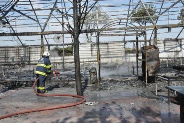 Ciğer Restoranı Açılmadan Bahçesinde Yangın Çıktı