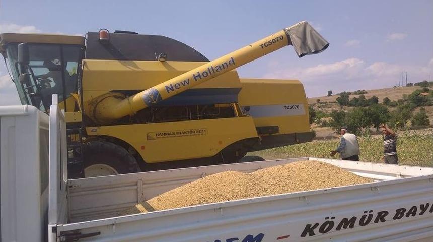 &rsquo;alo Hububat&rsquo; Hattı