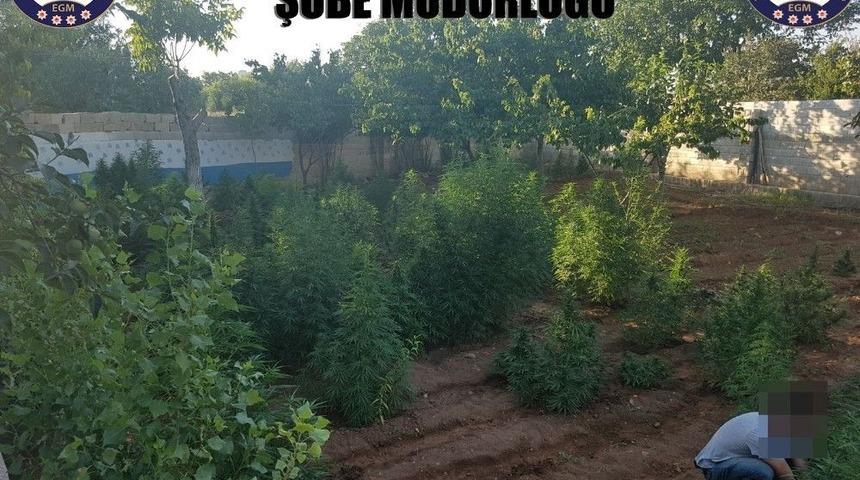 Gaziantep Polisi Uyuşturucu Tacirlerine Göz Açtırmıyor