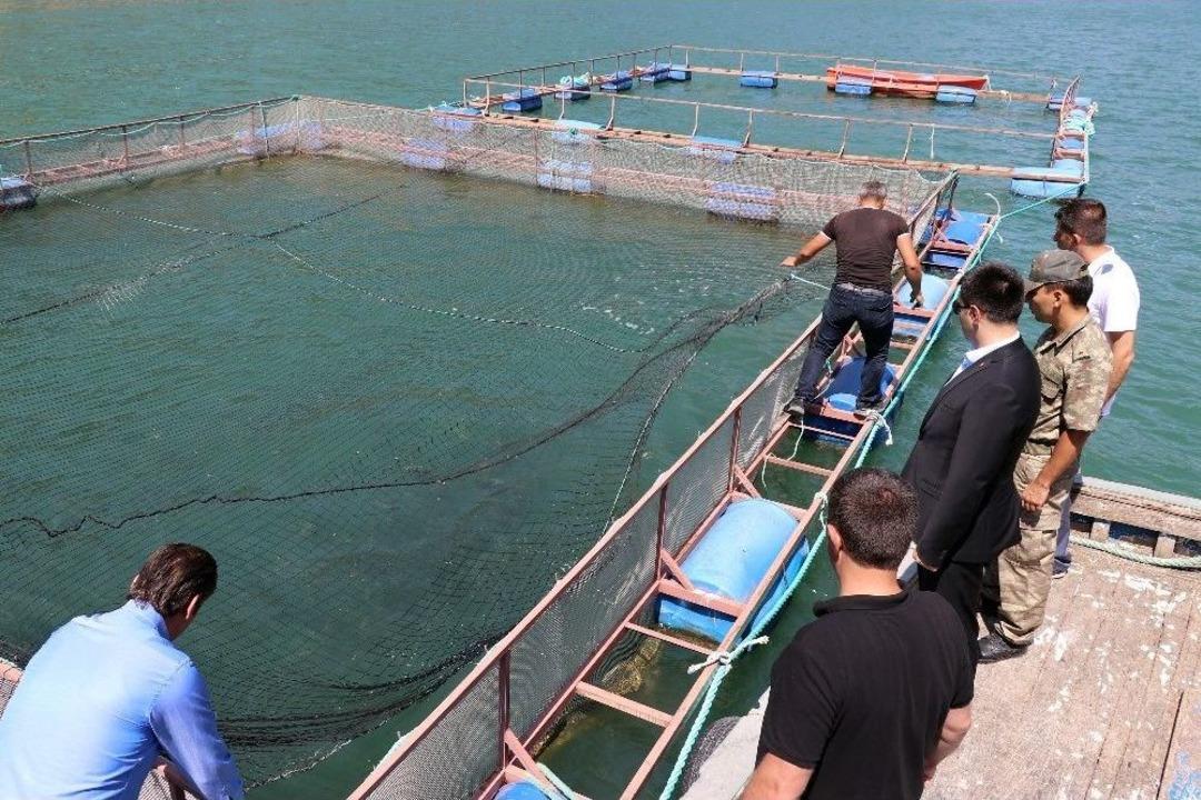 Torul Barajı&rsquo;nda Alabalık &Uuml;retimi