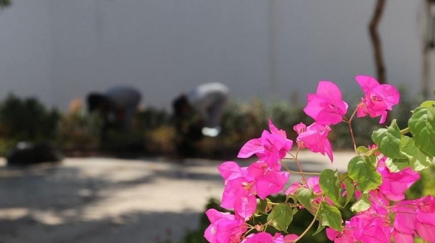 Bodrum&rsquo;da &Ccedil;evre D&uuml;zenleme &Ccedil;alışmaları S&uuml;r&uuml;yor