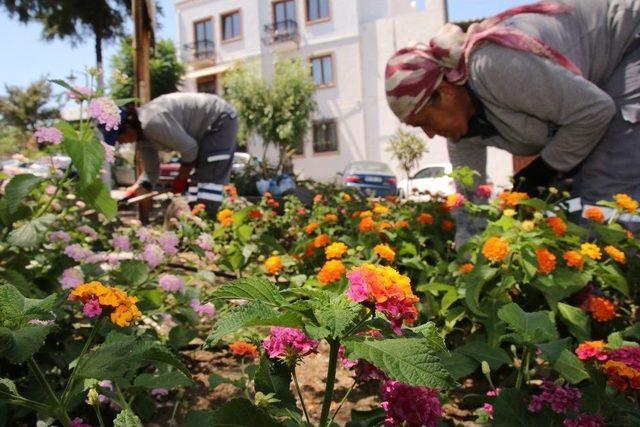 Bodrum’da Çevre Düzenleme Çalışmaları Sürüyor