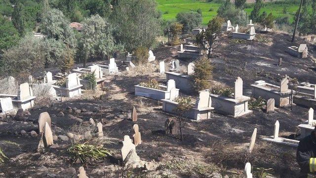 Tosya’da Çıkan Yangın Mezarlara Zarar Verdi