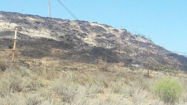 Tosya’da Çıkan Yangın Mezarlara Zarar Verdi