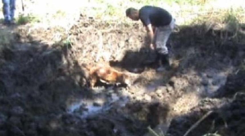 M&uuml;rit Cinayeti Sanığı &Ouml;nce Beraat Etti, Sonra Tazminat Kazandı