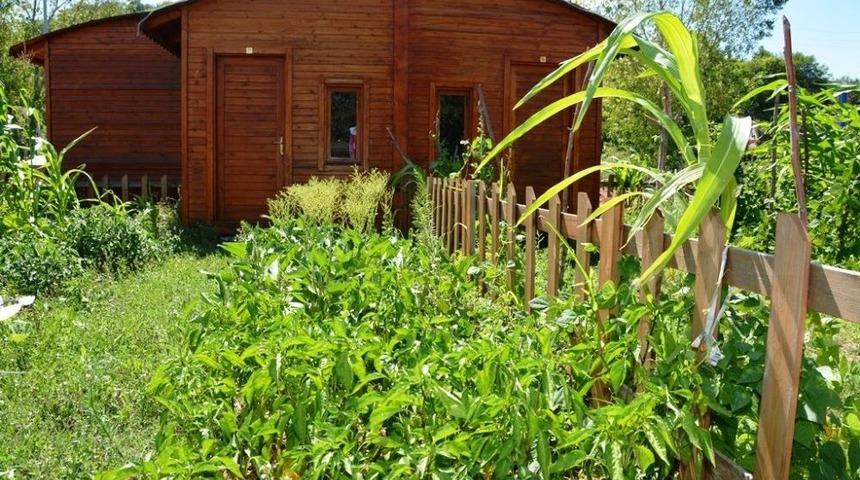 Hobi Bah&ccedil;eleri &Ccedil;eşit &Ccedil;eşit Sebze Meyve İle Dolup Taşıyor