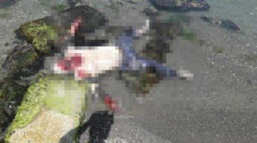 Sahilde Ceset Bulundu