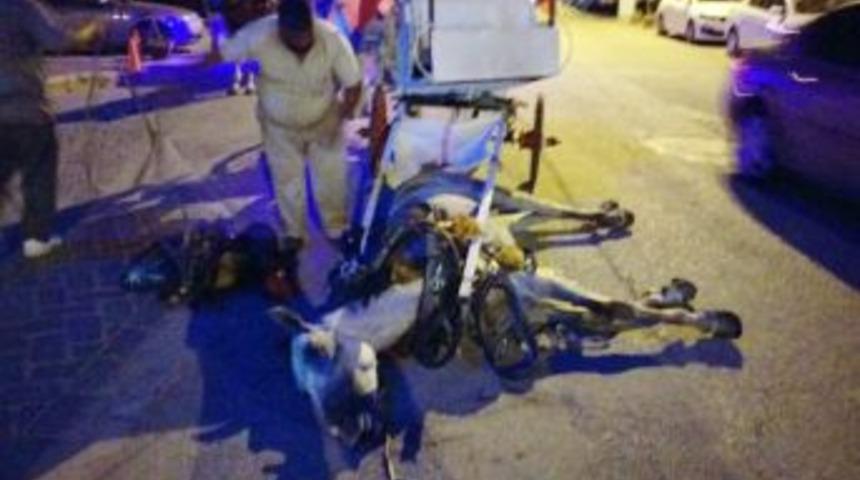 &Ouml;len Atını Bırakıp Ka&ccedil;an Faytoncunun &Ccedil;alışma İzni İptal Edildi