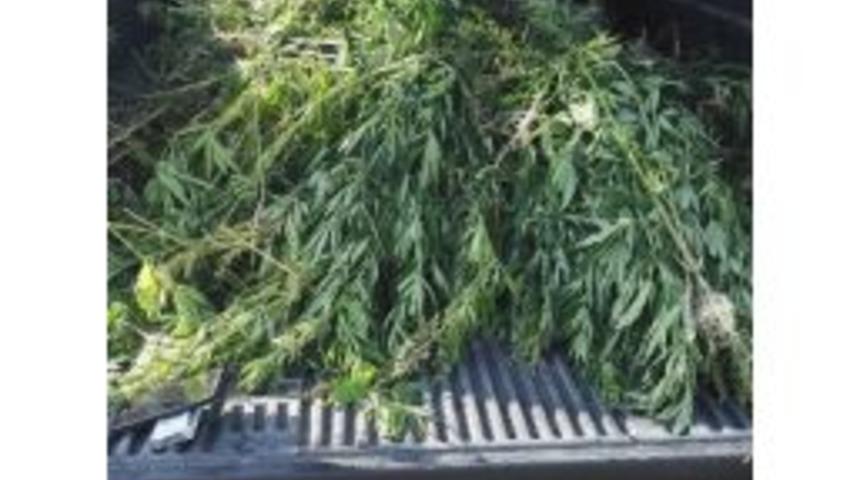 &Ccedil;anakkale'de Uyuşturucu Operasyonu