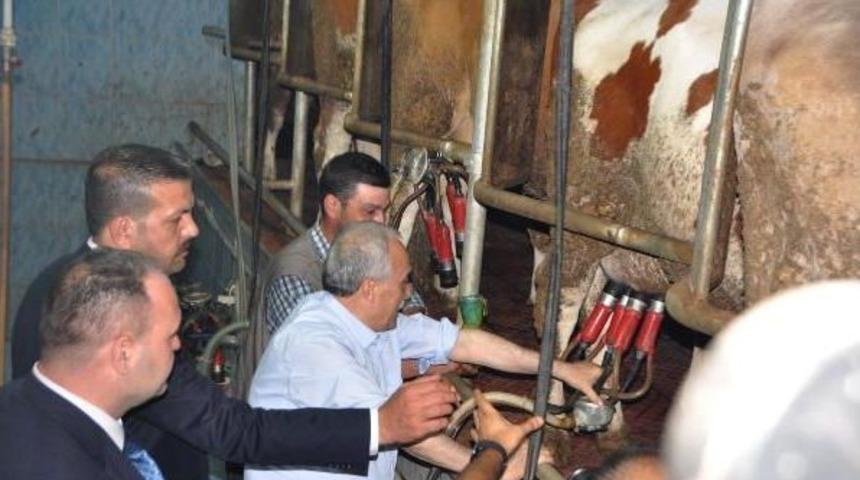 Bakan Fakıbaba: Kurban Fiyatlarının Ge&ccedil;en Senenin &Uuml;zerinde Olacağını D&uuml;ş&uuml;nm&uuml;yorum (5)