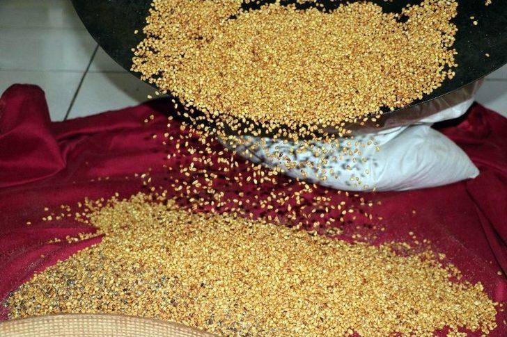 Kuruyemişin Atası Yozgat’ta Üretiliyor G5