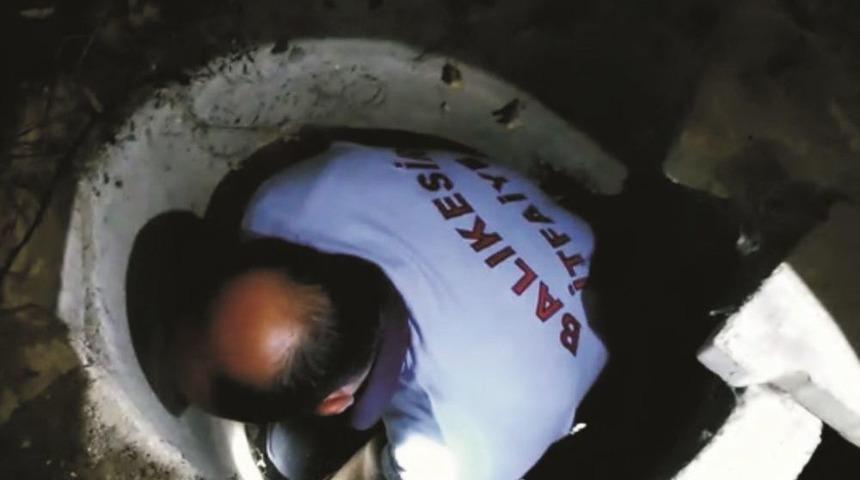 Minik Kedi İ&ccedil;in Gece Yarısı Seferberliği