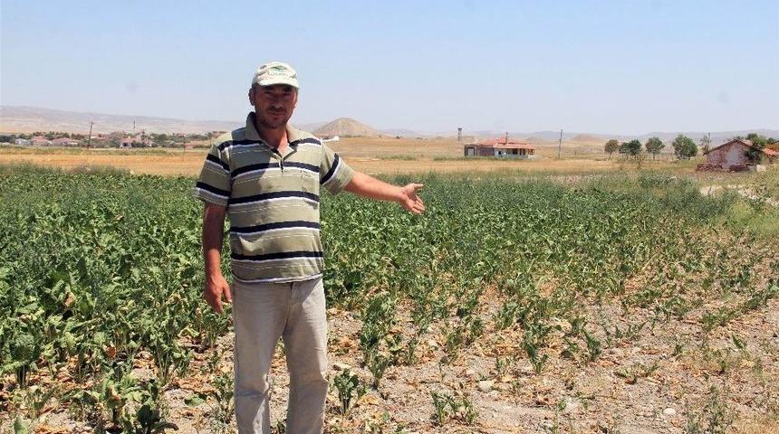 (&ouml;zel Haber) &Ccedil;ift&ccedil;ileri Sokağa &Ccedil;ağıran Tzob Başkanı&rsquo;na &Ccedil;ift&ccedil;ilerden Tokat Gibi Cevap Geldi