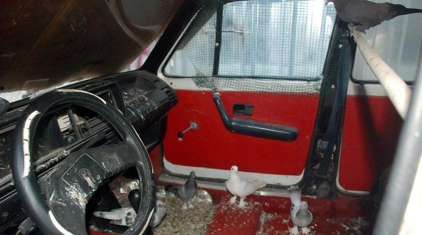 Turbo Dizel G&uuml;vercin Kafesi