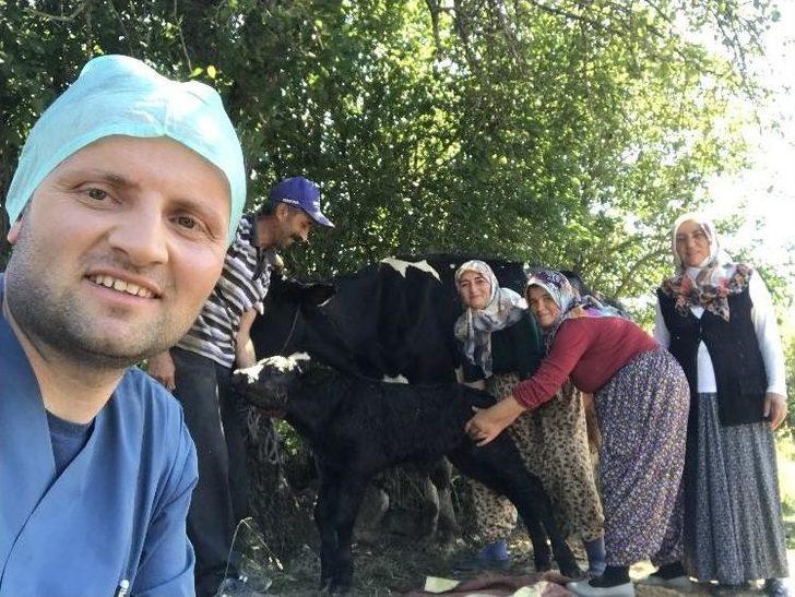 (özel Haber) 109 Kilo Ağırlığında Doğan Buzağı Görenleri Şaşırttı G2