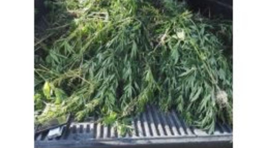 &Ccedil;anakkale&rsquo;de Hint Keneviri Operasyonu