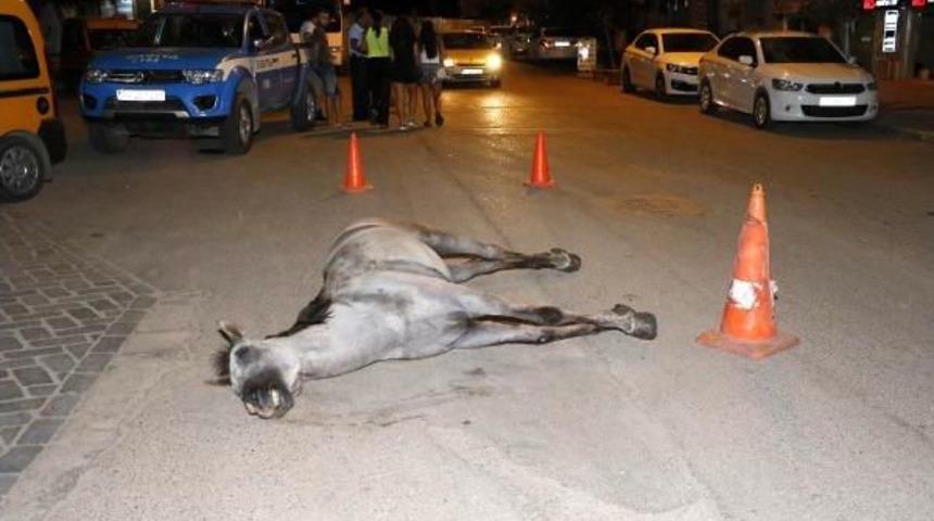 Antalya'da 'faytonlar Kaldırılsın' Kampanyası