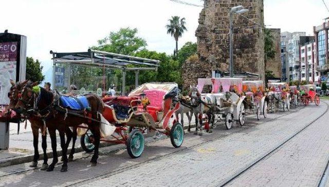 Antalya'da 'faytonlar Kaldırılsın' Kampanyası