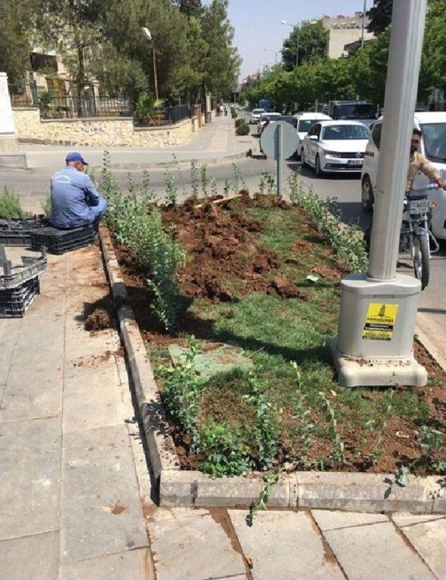 Hacı Cümbüş Kavşağındaki Çalışmalar Tamamlandı