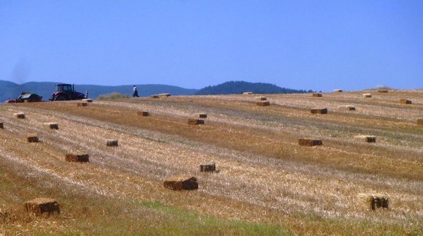 Bilecik&rsquo;te Saman &Uuml;retimi Başladı
