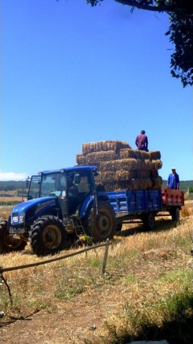 Bilecik’te Saman Üretimi Başladı