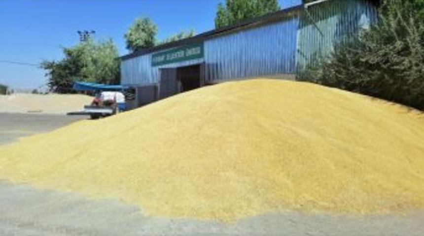 Kayseri Pancar Kooperatifinden S&ouml;zleşmeli Tarım Ve Tohumluk &Uuml;retimine B&uuml;y&uuml;k Destek