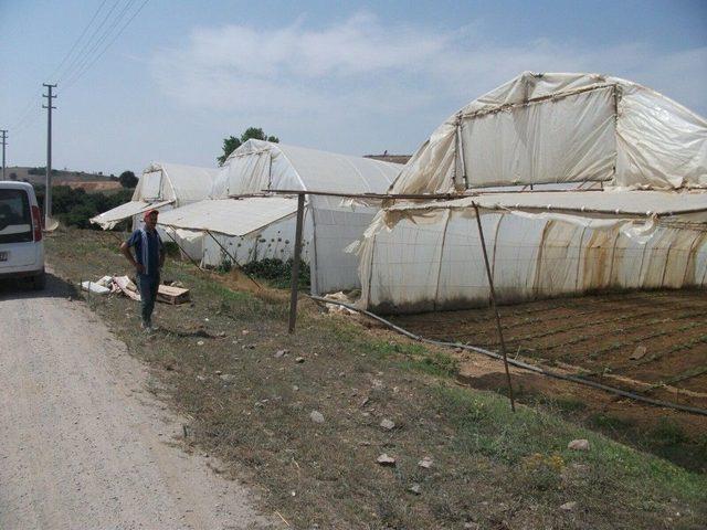 Serası Hasar Gören Üreticilere Büyükşehir’den Destek