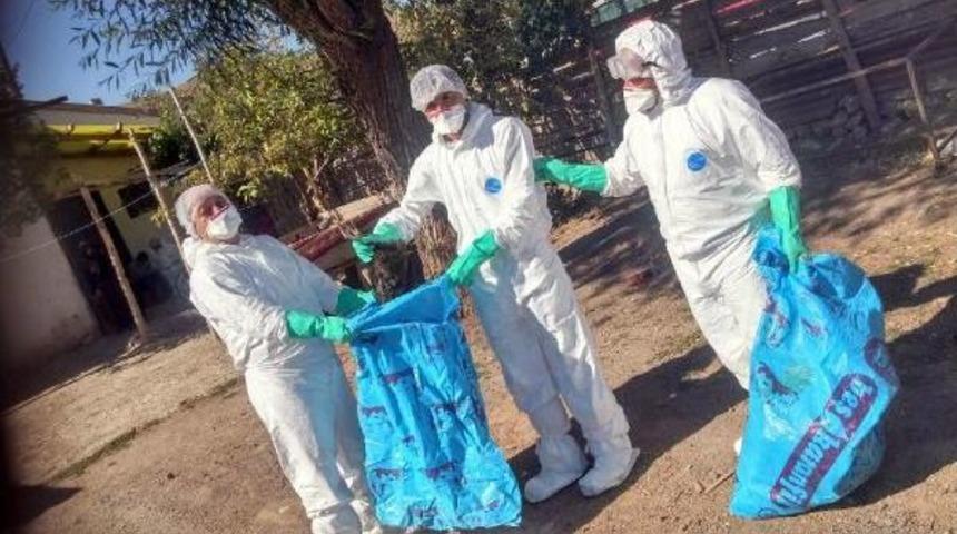 Sivas'ta 'kuş Gribi' Alarmı