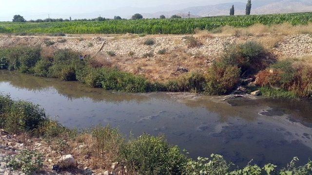 Beydağ Barajı Boşaldı, Üreticiler Kanalizasyon Suyuyla Sulama Yapıyor