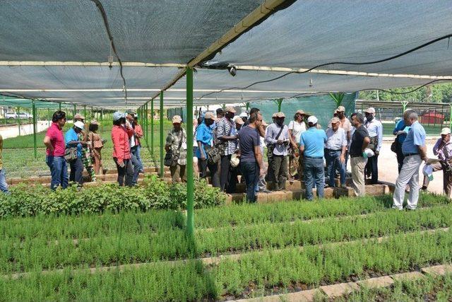 Mersin’de Afrikalı Ormancılara Ormancılık Eğitimi Verildi