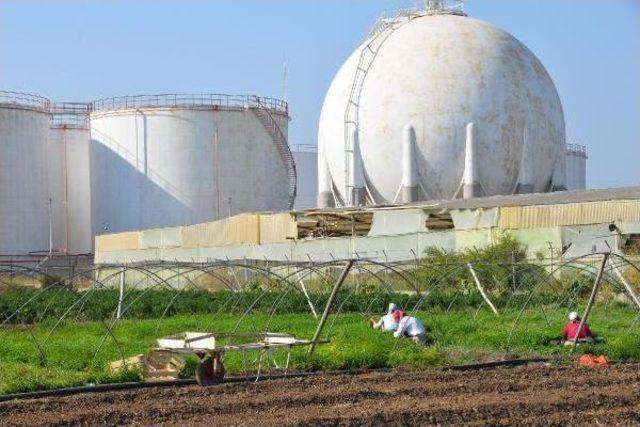 Mersin'de Akaryakıt Tankı Tehlikesi