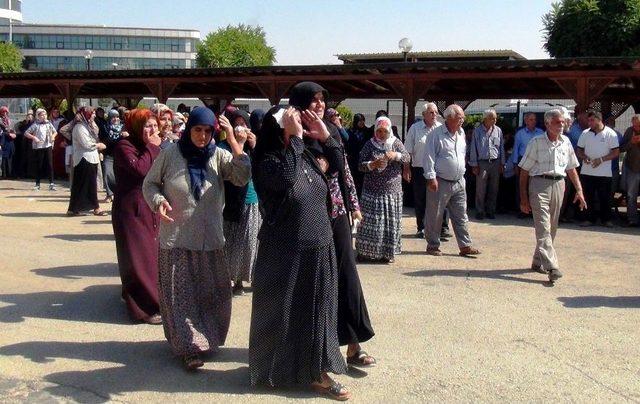 Trafik Kazasında Bir Aile Yok Oldu