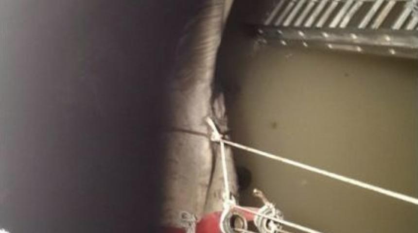 Gölbaşı’nda Kuyuya Düşen Atı İtfaiye Kurtardı